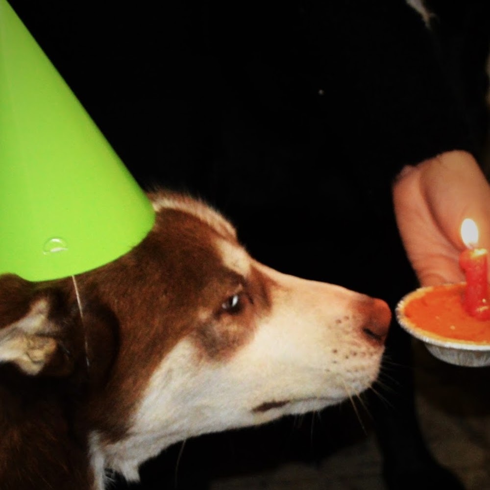 Meet your Posher, Cj